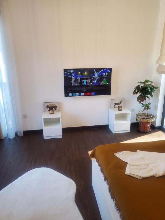 Casa Larisa - Wolves Apartment Σινάια Εξωτερικό φωτογραφία