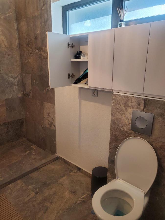 Casa Larisa - Wolves Apartment Σινάια Εξωτερικό φωτογραφία
