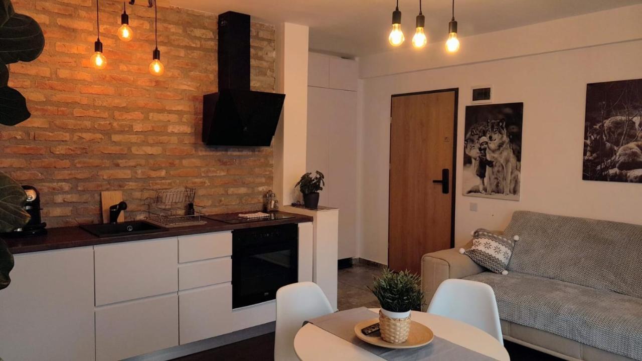 Casa Larisa - Wolves Apartment Σινάια Εξωτερικό φωτογραφία