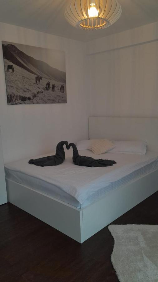 Casa Larisa - Wolves Apartment Σινάια Εξωτερικό φωτογραφία
