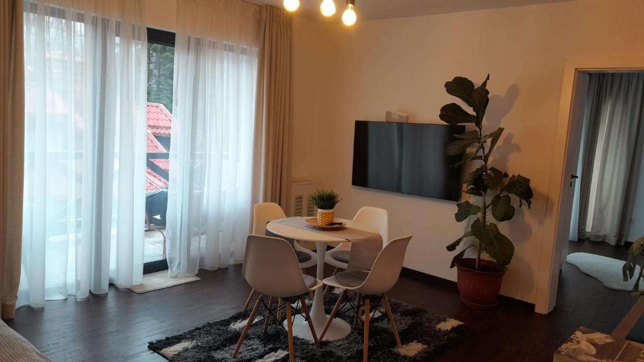 Casa Larisa - Wolves Apartment Σινάια Εξωτερικό φωτογραφία
